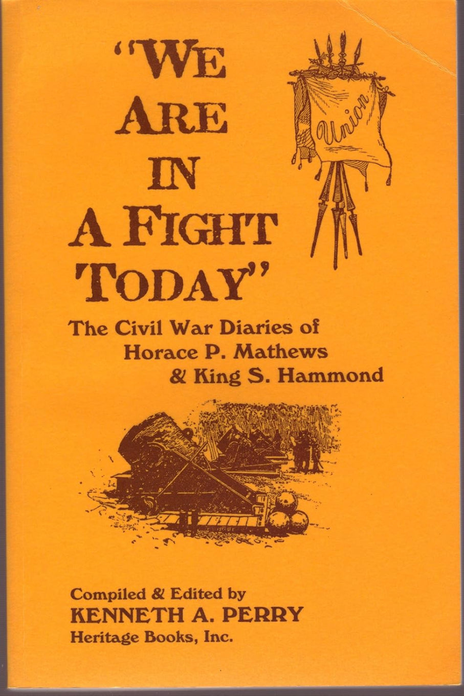 We Are In A Fight Today: The Civil War Diaries of Horace P. Mathews and King S. Hammond